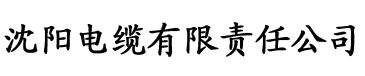 草莓视频污逼电缆厂logo